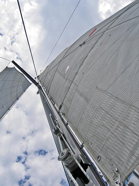 wavemagic_sailing3.JPG - New Mast- Main and Blade Jib